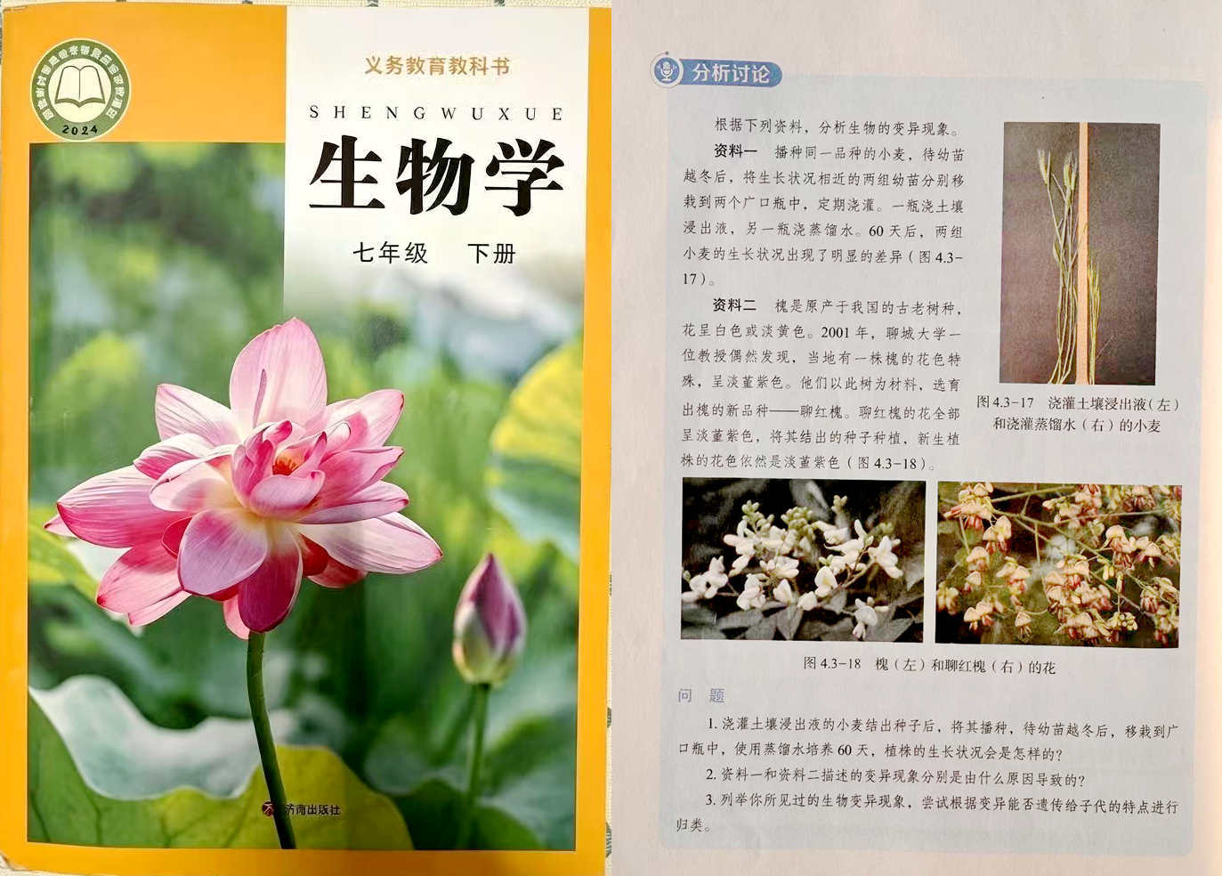 光影魔术手拼图.jpg